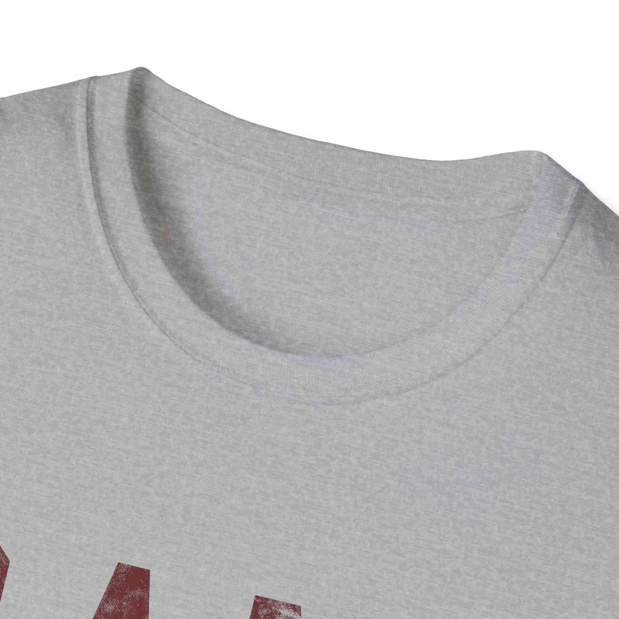 B.A.M.F. University T-Shirt — Vintage Collegiate Graphic Tee (Est. 247)